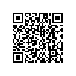 DW-03-16-T-S-295 QRCode