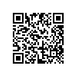 DW-04-07-T-S-213 QRCode