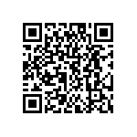 DW-04-09-T-D-531 QRCode