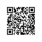 DW-04-11-T-S-787 QRCode