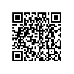 DW-04-13-S-S-980 QRCode