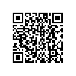 DW-04-17-T-S-213 QRCode