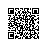 DW-04-17-T-S-275 QRCode