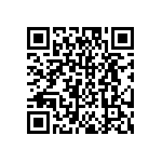 DW-04-17-T-S-276 QRCode