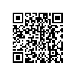 DW-06-13-T-S-950 QRCode