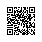 DW-13-09-F-S-390 QRCode