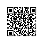 DW-13-12-L-S-687 QRCode