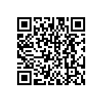 DW-13-12-T-D-787 QRCode