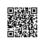 DW-17-08-T-S-300 QRCode