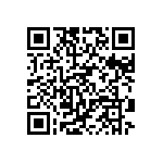 DW-17-09-T-D-380 QRCode