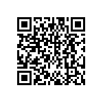 DW-17-13-F-S-955 QRCode