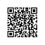 DW-22-13-L-D-787 QRCode