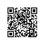 DW-24-13-T-S-925 QRCode