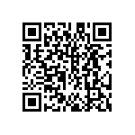 DW-31-13-F-S-935 QRCode