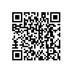 DW-31-13-F-S-945 QRCode