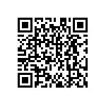 DW-38-13-F-S-905 QRCode