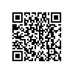 DW-41-13-F-S-945 QRCode