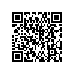 DW-49-13-F-S-945 QRCode