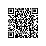 DWM-12-01-T-S-250 QRCode