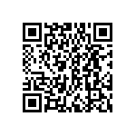 DWM-17-53-G-S-295 QRCode