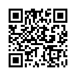 DZT2907A-13 QRCode