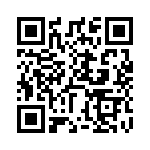 DZT951-13 QRCode