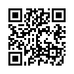 E2013 QRCode