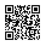 E21311300000G QRCode