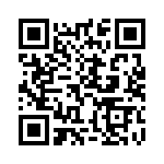 E2E2-X2Y1-M4 QRCode