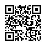 EB45-P0E4030X QRCode