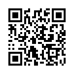 ECC12DTKS QRCode