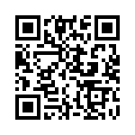 ER3R-100N3PR QRCode