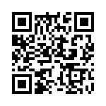 ERZ-V07D101 QRCode