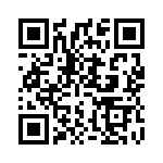 ES2B-13 QRCode