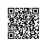 EW-04-09-G-T-300 QRCode