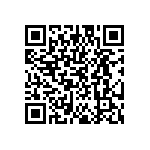 EW-17-09-T-S-300 QRCode