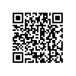 FB10S033JT1R6000 QRCode