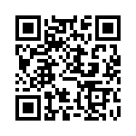 FCE17E09PB44B QRCode