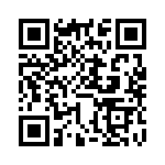 FJP13007 QRCode