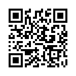 FN3840008 QRCode