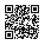 FV2-4 QRCode