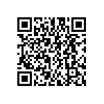 FW-13-04-G-D-538-075 QRCode