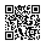 GBC13DRYN-S93 QRCode