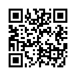 GEC17DREI-S13 QRCode