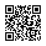 H409505C0000G QRCode