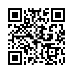 H416505A0000G QRCode