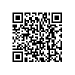 HCM493579545BBJT QRCode