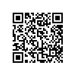 IVS1-3J0-3M0-1E0-00-B QRCode