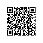 JBB95DYRN-S1355 QRCode