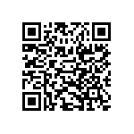 JT06RT-16-13P-023 QRCode